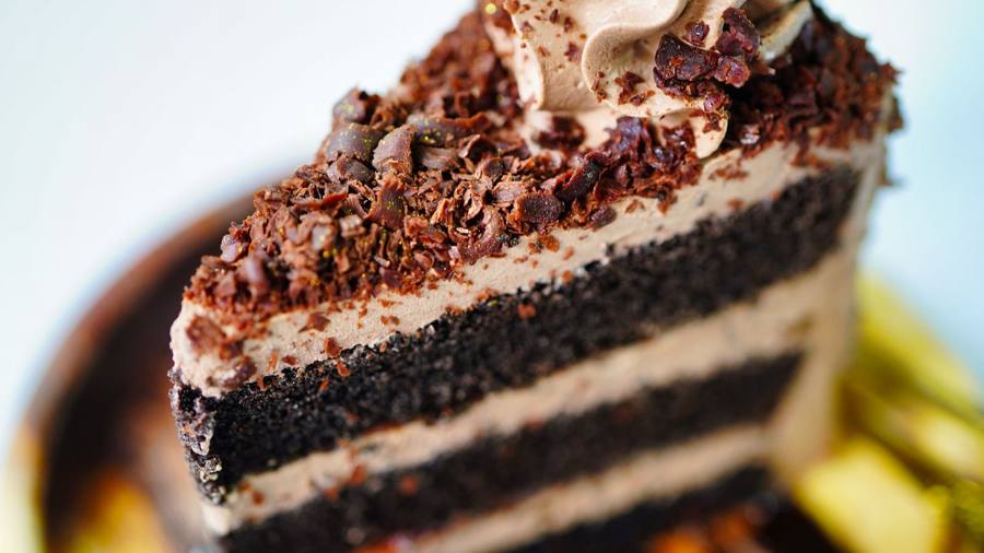 A slice of dark chocolate fudge cake
